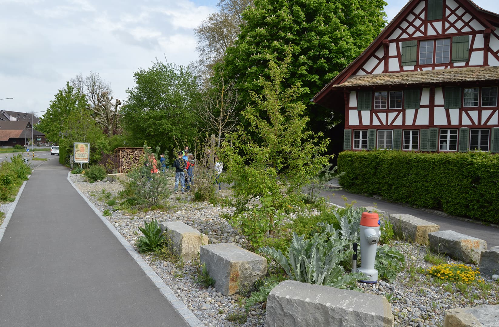 Eine aufgewertete Ruderalfläche am Wattplatz in Knonau.