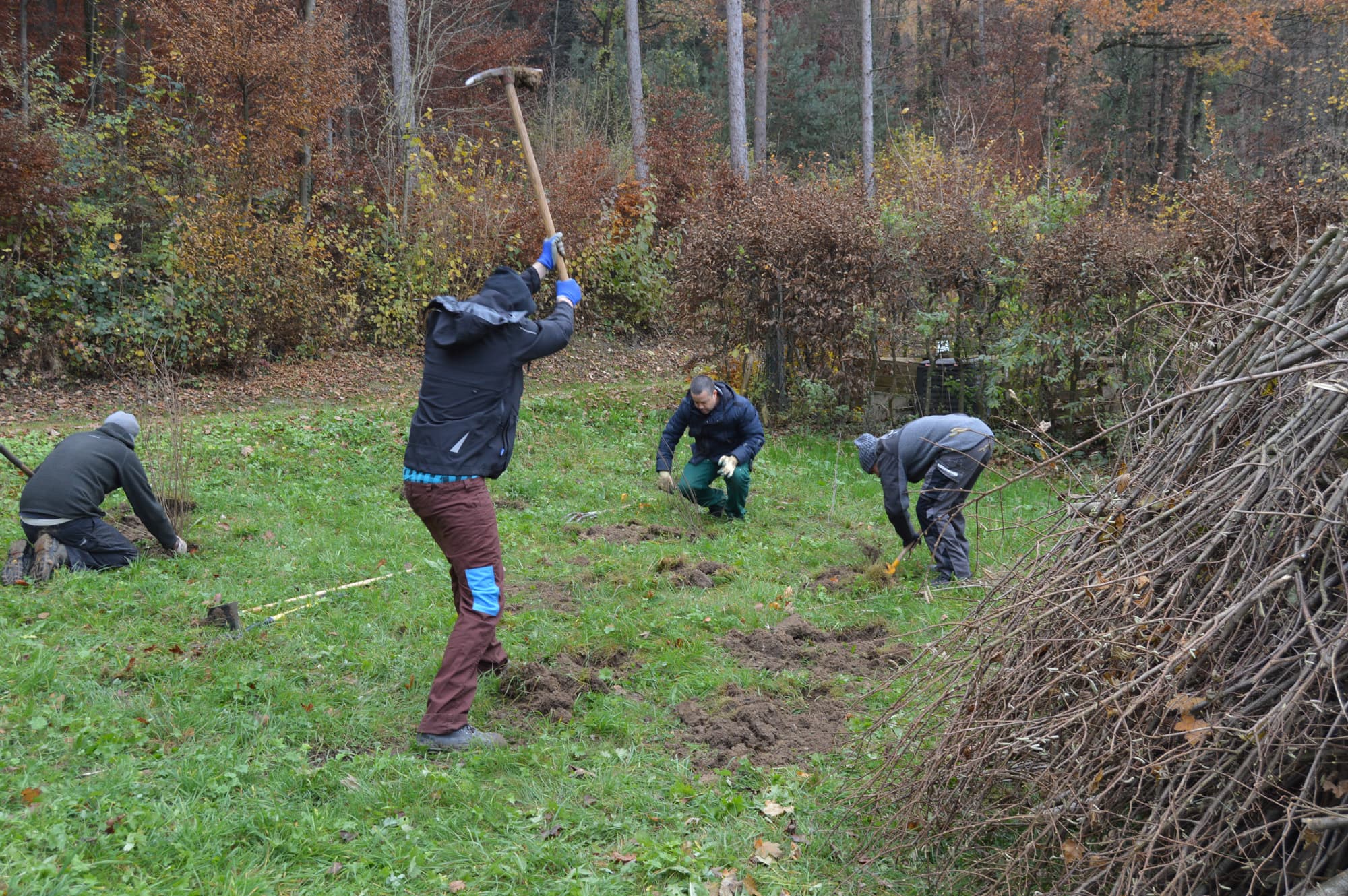 Mitarbeiter helfen beim Ackern der Wiese in Brugg.