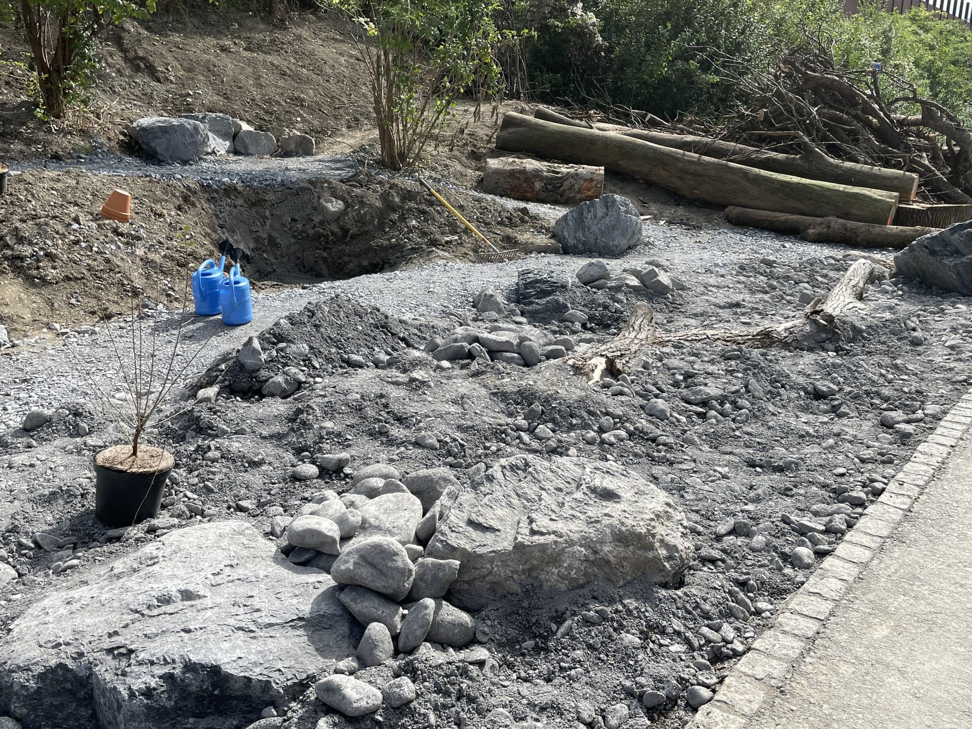 Eine Ruderalfläche mit Steinen, Sträuchern und Holzstämmen im Hintergrund.