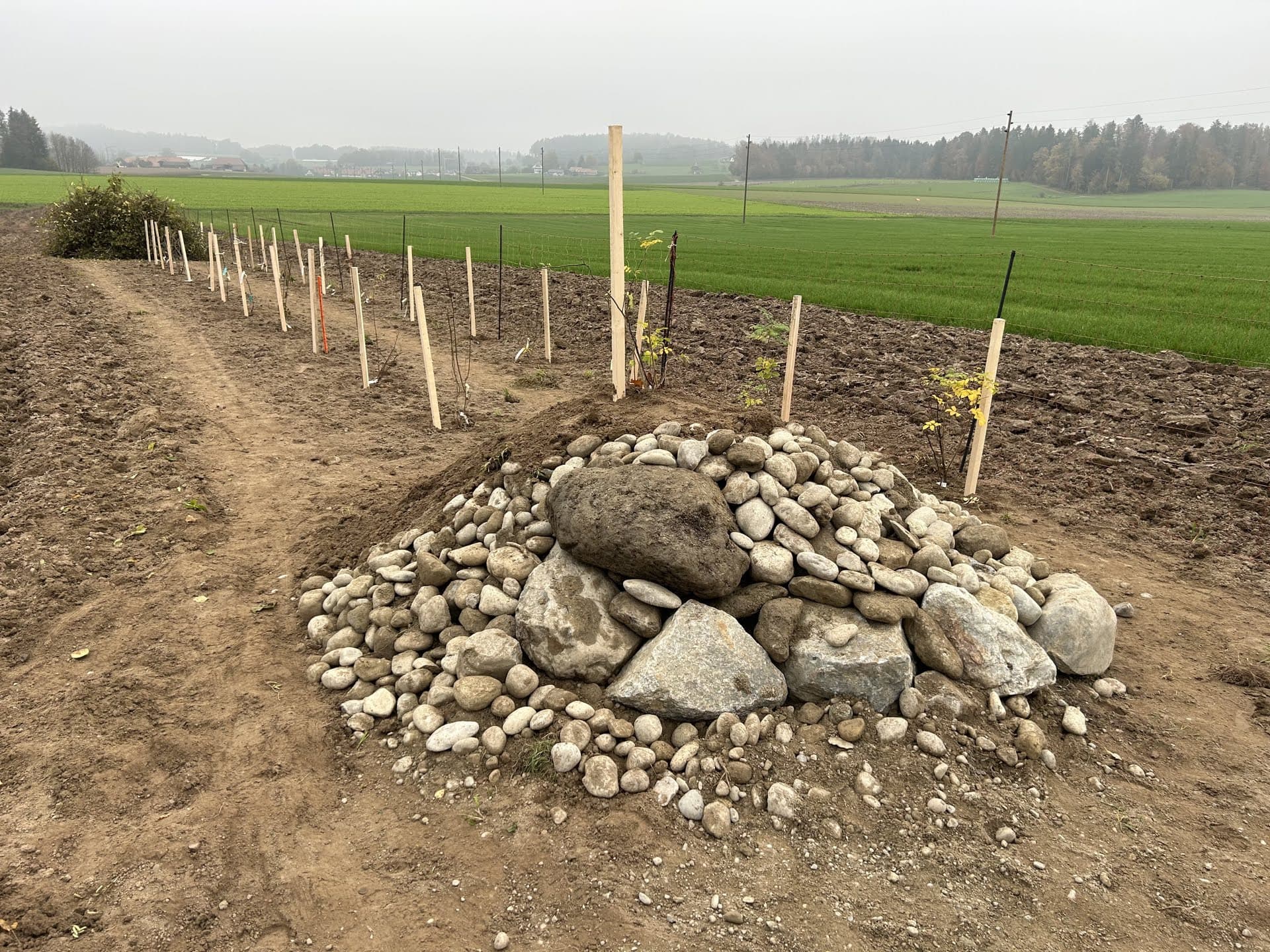 Steinhaufen auf einer brachen Fläche